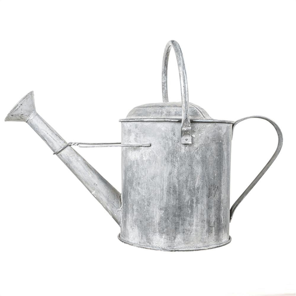 Grand Illusions Zinc Watering Can